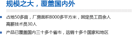 规模之大，覆盖国内外